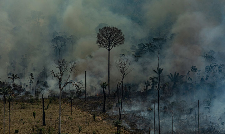 Amazônia vive nova dinâmica de devastação inaugurada por Bolsonaro