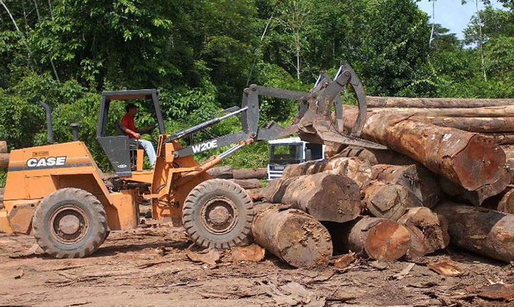 Alertas de desmate na Amazônia são recorde para setembro
