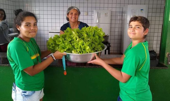 Há 10 anos projeto “Horta Escolar” é destaque na EE Lagoa Bonita”, em Deodápolis