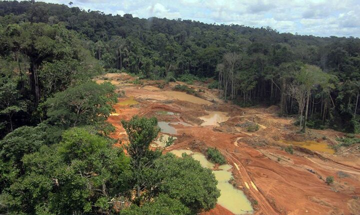 Legislatura se encerra com saldo negativo no meio ambiente