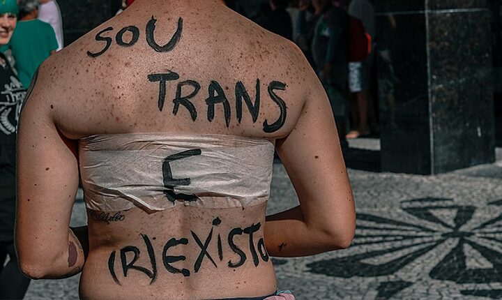 Divulgação