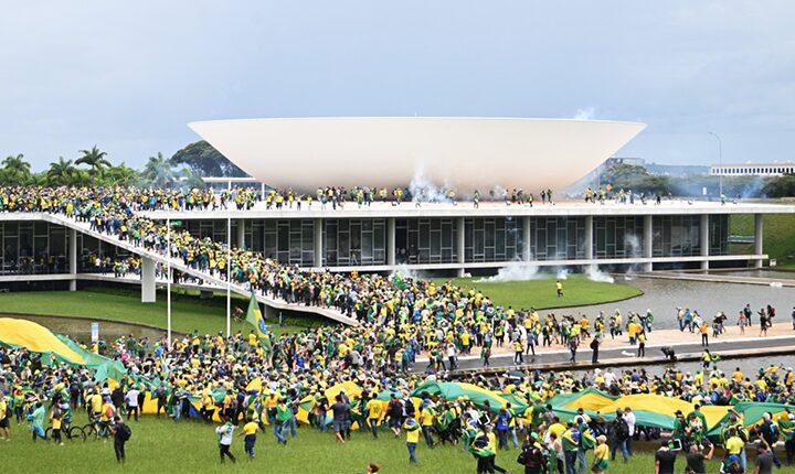 Divulgação