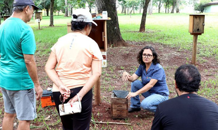 Parque das Nações Indígenas vai receber primeira visita guiada a abrigo de abelhas