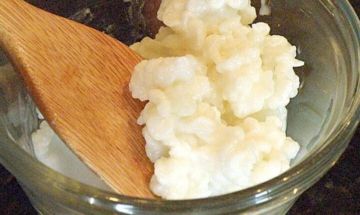 Conheça o Kefir, a bebida fermentada que regula a flora intestinal e promove saúde