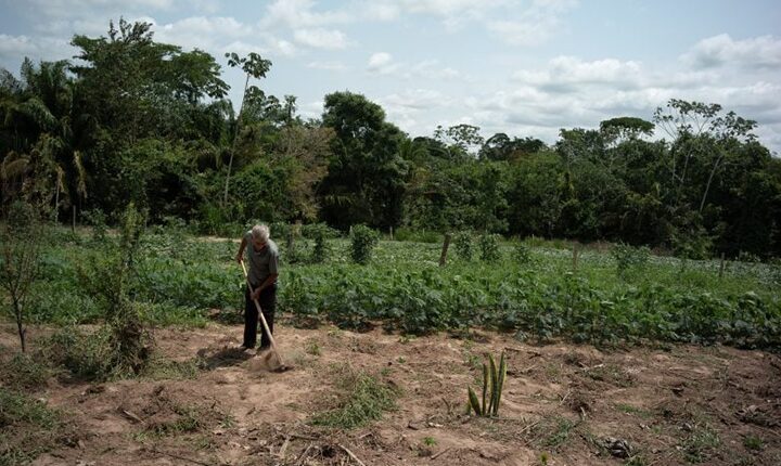 Sufocado por agrotóxicos perigosos, Brasil tem de avançar na transição agroecológica