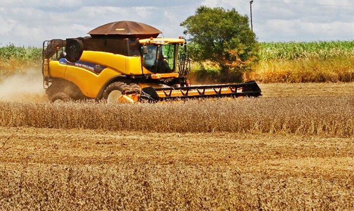 Produção agrícola de MS deve aumentar 10% em um ano