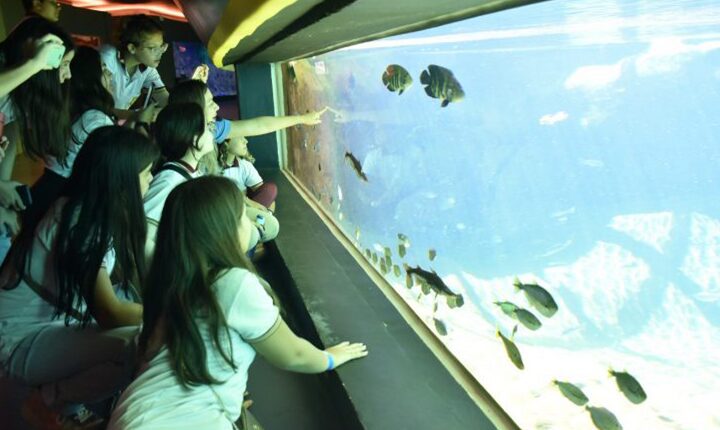 Visitas escolares retornam ao Bioparque Pantanal e educação ambiental é reforçada com estudantes