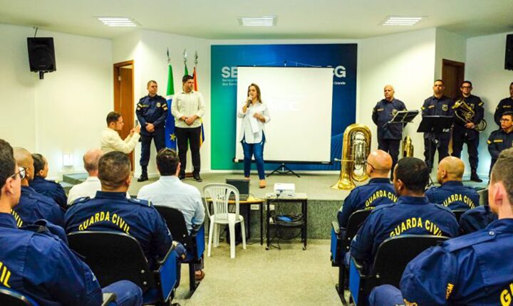 Divulgação
