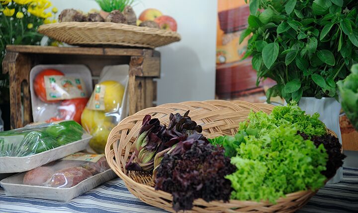 Livro explica elo entre comida e meio ambiente para crianças