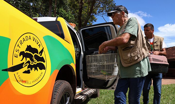 Programa Estrada Viva monitora rodovias estaduais e propõe adaptações para segurança da fauna