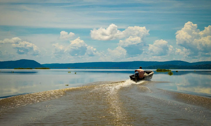 Pantanal: Como se recupera uma baía?