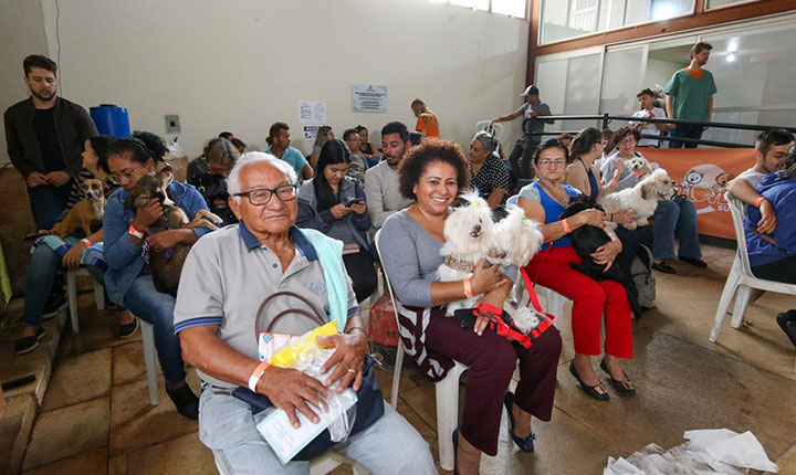 Prefeitura realiza primeiro plantão de castração com 150 vagas para cães e gatos