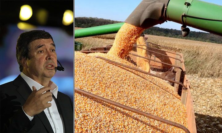 Produção agrícola do Estado deve superar 72 milhões de toneladas com renda acima dos R$ 52 bilhões