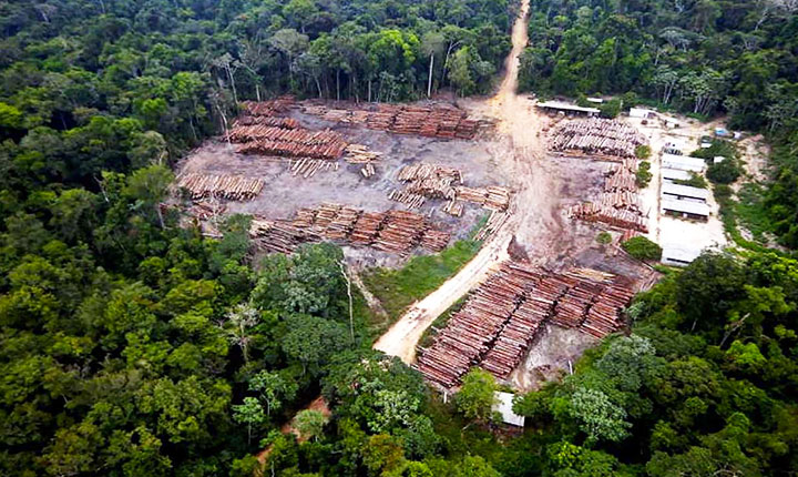 Desmatamento na Amazônia cai 31% sob governo Lula