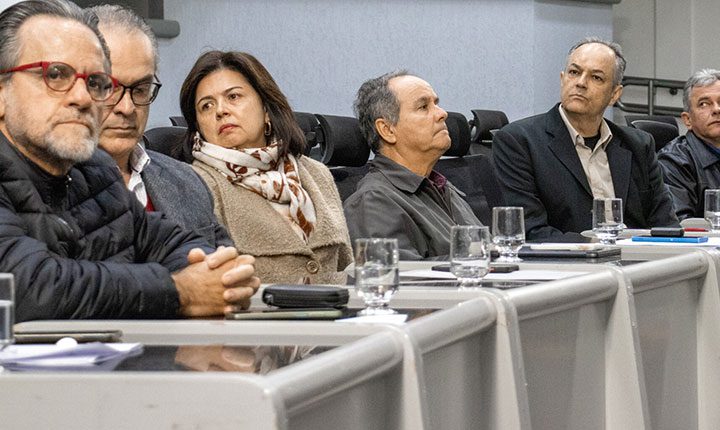 Divulgação