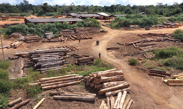 Brasil liderou desmatamento de florestas tropicais em 2022