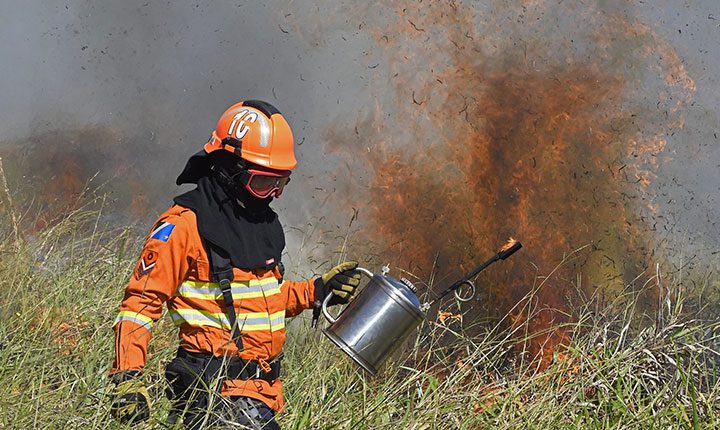 Ação integrada e treinamento contribuem para prevenção de incêndios florestais em MS