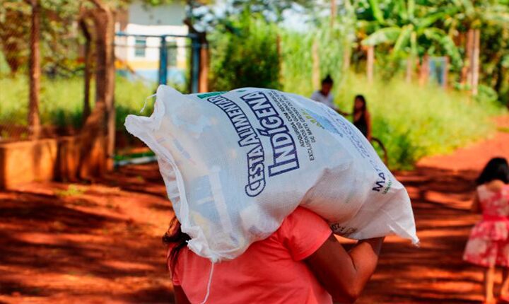 MS atua para garantir segurança alimentar e atendimento social à população