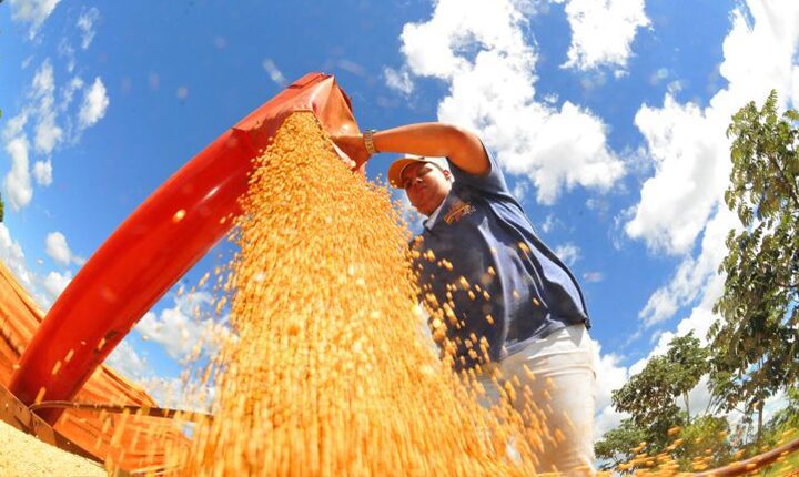 MS desponta no agronegócio nacional com alta na renda agropecuária e na busca por crédito rural