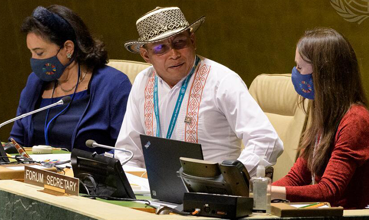 Chefe de fórum da ONU pede ação contra crime na Amazônia