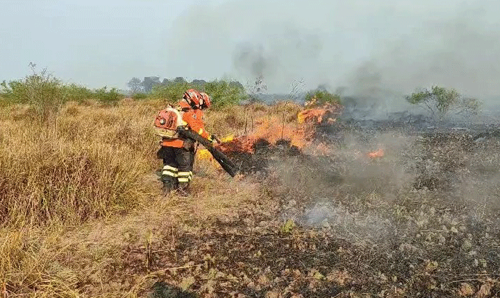Bombeiros combatem três focos de incêndios há quatro dias no Pantanal