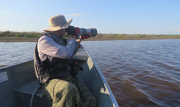 Turismo a partir da observação de aves no Pantanal cresce em MS