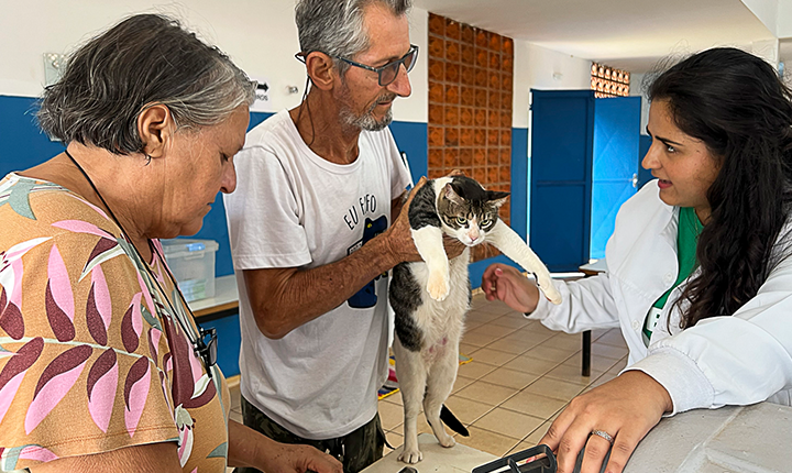 Atendimento veterinário gratuito chega ao CRAS das Moreninhas nesta quinta