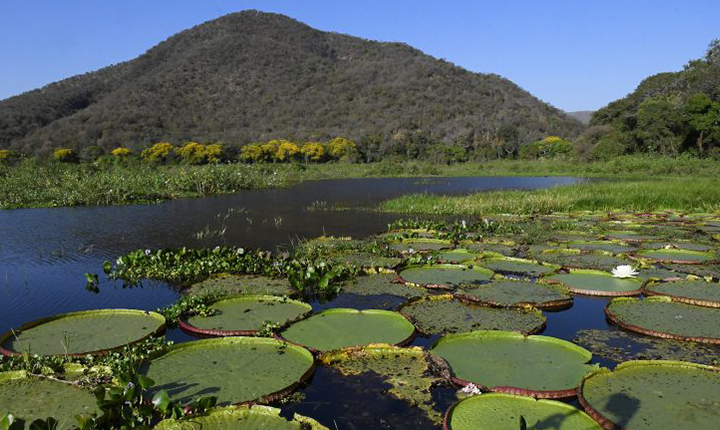 Lei do Pantanal entra em vigor
