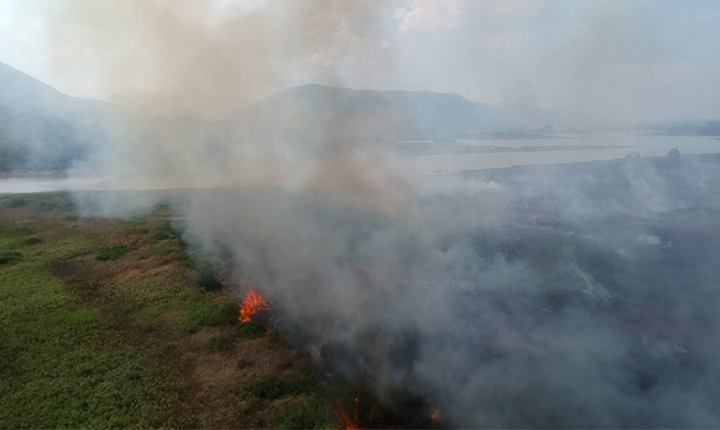 Governo prepara atuação para temporada de incêndios florestais no Pantanal