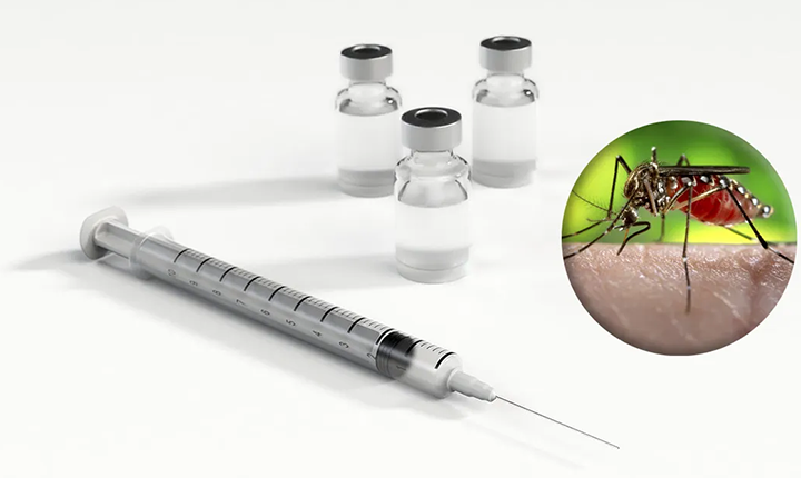 Procura por vacina contra dengue na rede particular cresce até 300% em Campo Grande