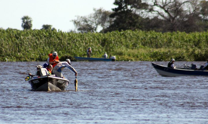 Modalidade ‘pesque e solte’ está liberada nos rios Paraguai e Paraná