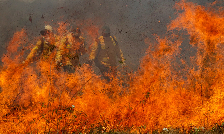 Assombrado pelo fogo, futuro do Pantanal exige mobilização global