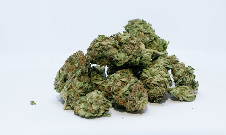 Prós e contras da descriminalização do porte de maconha: STF e Congresso travam embate sobre tema