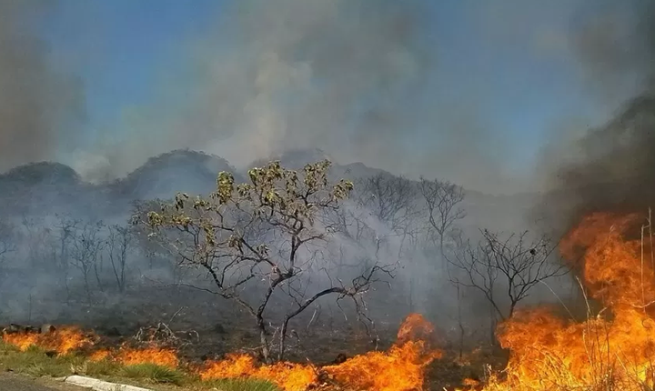 Lamento pela morte do cerrado dura até a lembrança dos dólares da soja