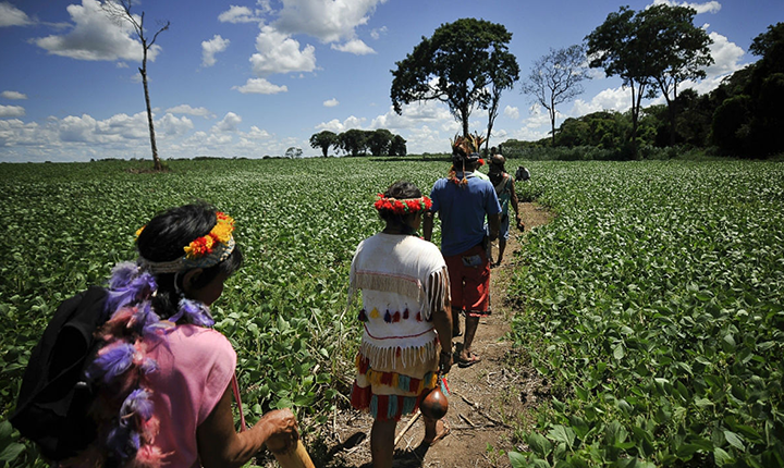 Indígenas do Mato Grosso do Sul são os mais explorados por trabalho escravo