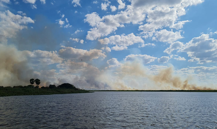 STF define prazo para Congresso aprovar lei de proteção do Pantanal