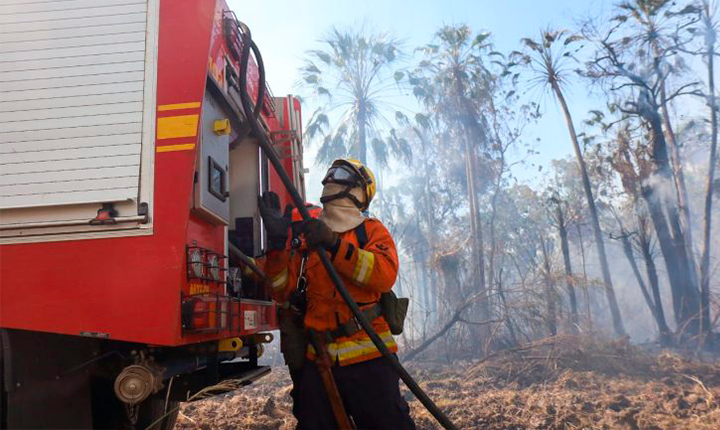 Com seis focos ativos, incêndios no Pantanal são intensificados devido a condições climáticas extremas