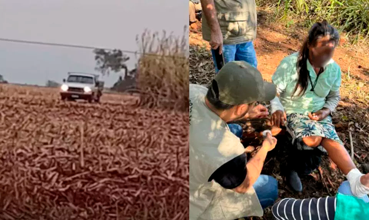 Juiz ordena despejo de indígenas que ocuparam fazenda em Douradina