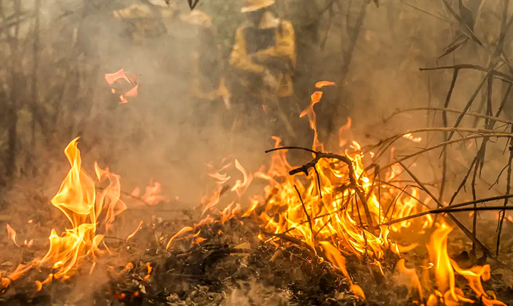 Focos de incêndio no Pantanal estão sob investigação da PF, diz Marina