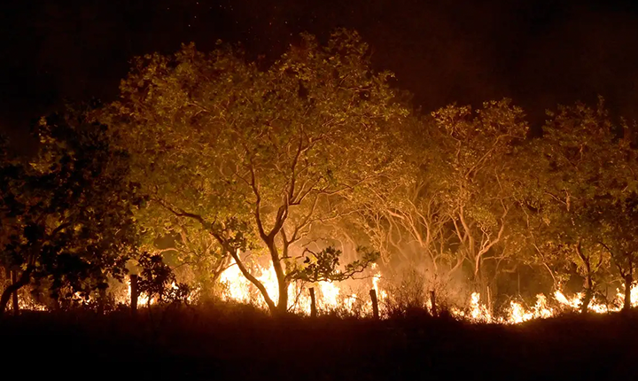 Temporada de fogo