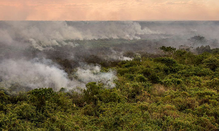 Forças Armadas detalham estrutura designada pela União para apoiar combate aos incêndios no Pantanal