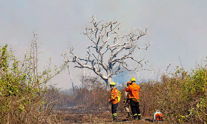 Bombeiros de MS continuam trabalho para conter incêndios em diferentes áreas do Pantanal