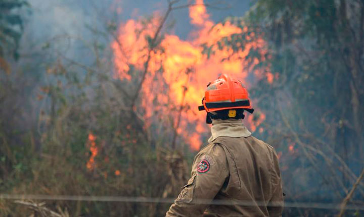 Governo do MS aplica multas que somam R$ 54 milhões por incêndios no Pantanal, mas ainda não recebeu nenhum valor