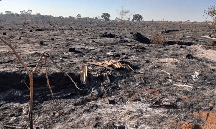 Cufa arrecada itens para vítimas do incêndio que atingiu aldeia de Campo Grande