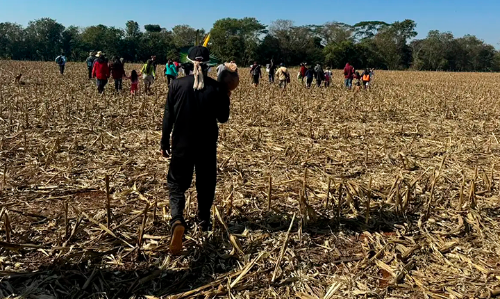 Aumenta tensão entre indígenas e fazendeiros em Douradina