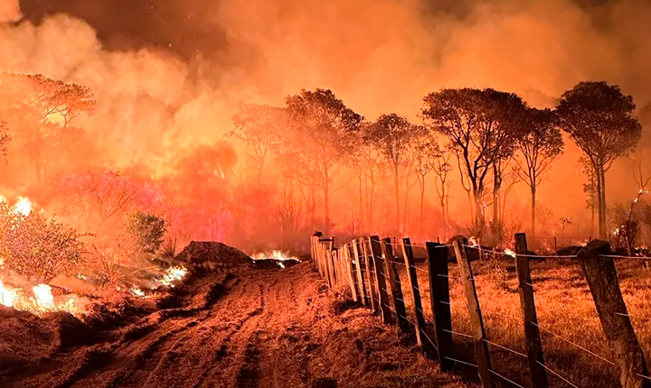 No Pantanal, a grande ameaça começa agora