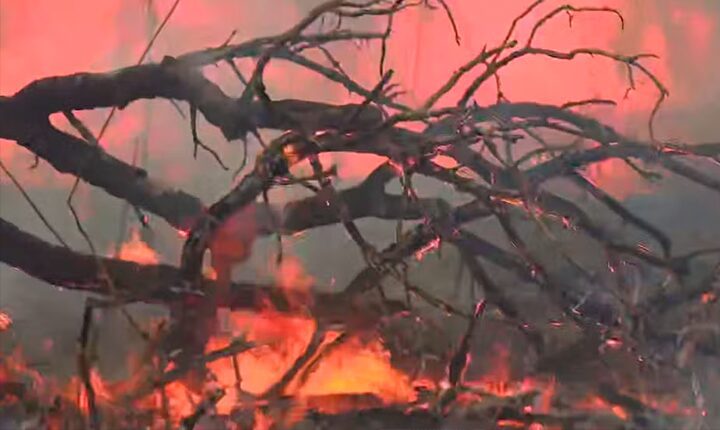 Inquéritos sobre incêndios no Pantanal em MS não avançam por atraso em laudos