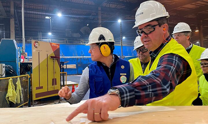Conselho da Arauco aprova investimentos de R$ 25,1 bilhões para a fábrica de celulose em Inocência