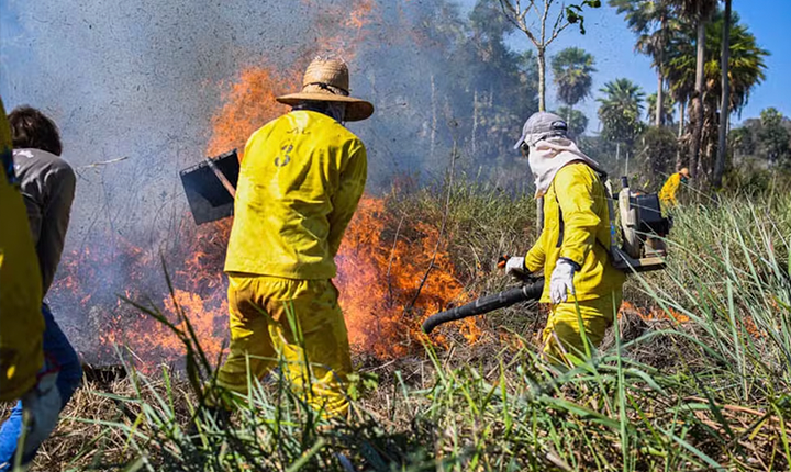 Brigadas comunitárias atuam na linha de frente contra incêndios no Pantanal e Cerrado