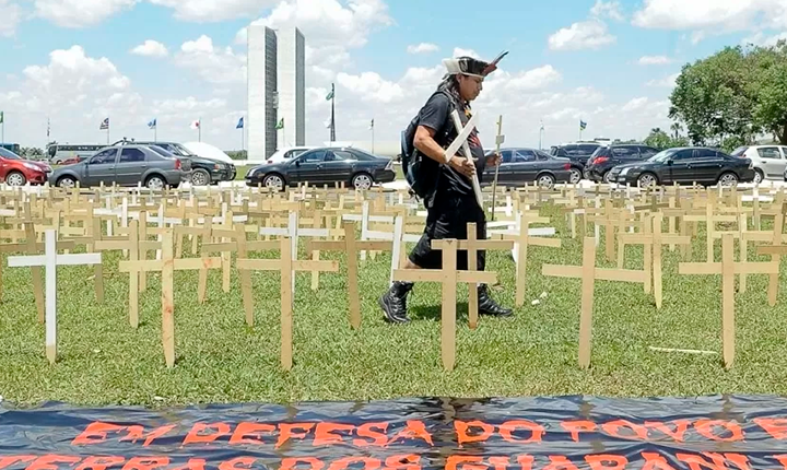Divulgação